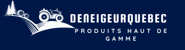 Logo DeneigeurQuebec